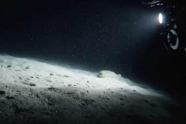 Luz iluminando fundo do mar/oceano profundo – Imagem gerada por IA/Reprodução/YouTube