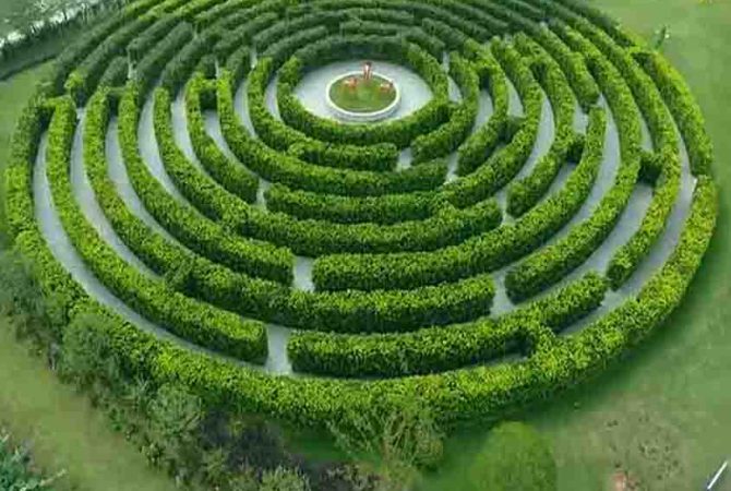 Maior jardim-labirinto do mundo: os desafios do Dream Maze