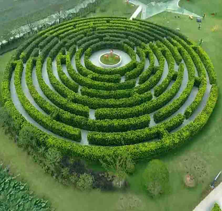 O labirinto é também um espaço fotogênico. Suas linhas verdes - Maior jardim-labirinto do mundo - Reprodução do Youtube Canal Guinness World Records