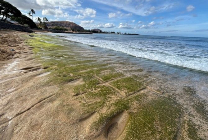 Desenhos de mais de 500 anos reaparecem em praia do Havaí após maré baixa