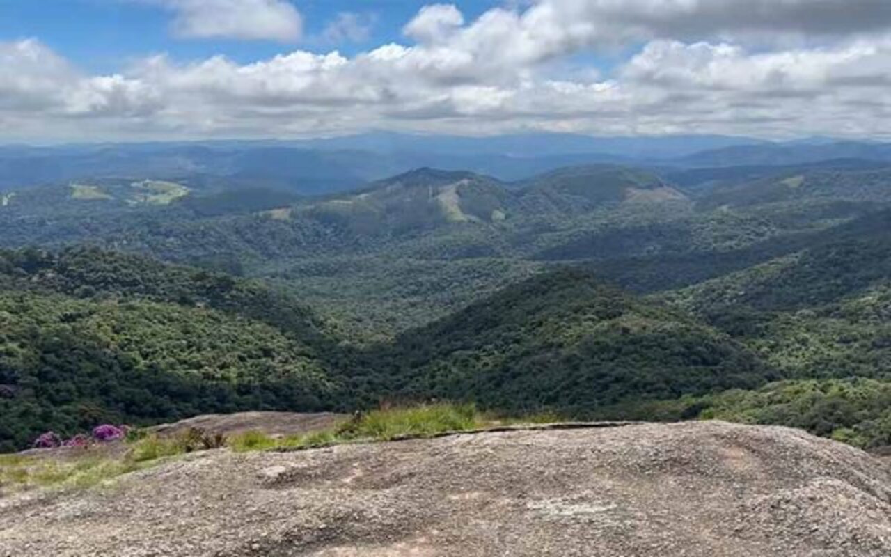 A história de Monte Verde começou na primeira metade do século 20, quando o imigrante letão Verner Grinberg decidiu se estabelecer na Serra da Mantiqueira. A escolha foi motivada pela semelhança do clima com o europeu, condição rara no Brasil.
