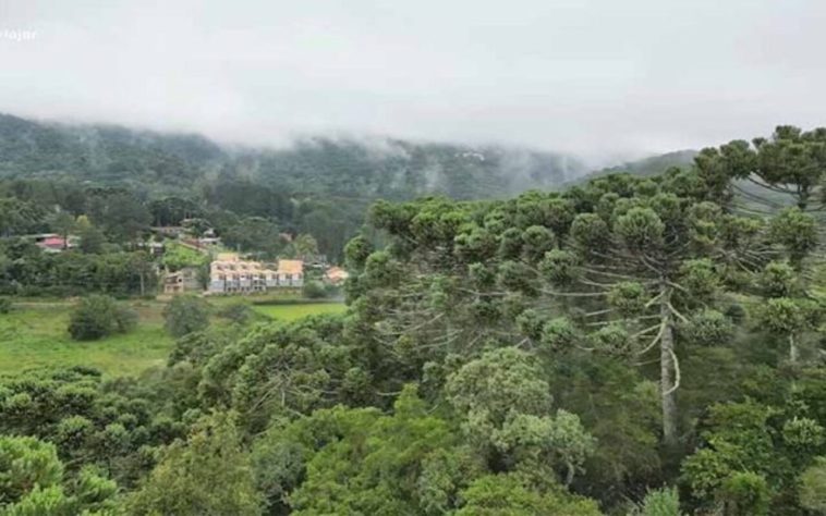 Monte Verde: charme europeu nas montanhas de Minas Gerais