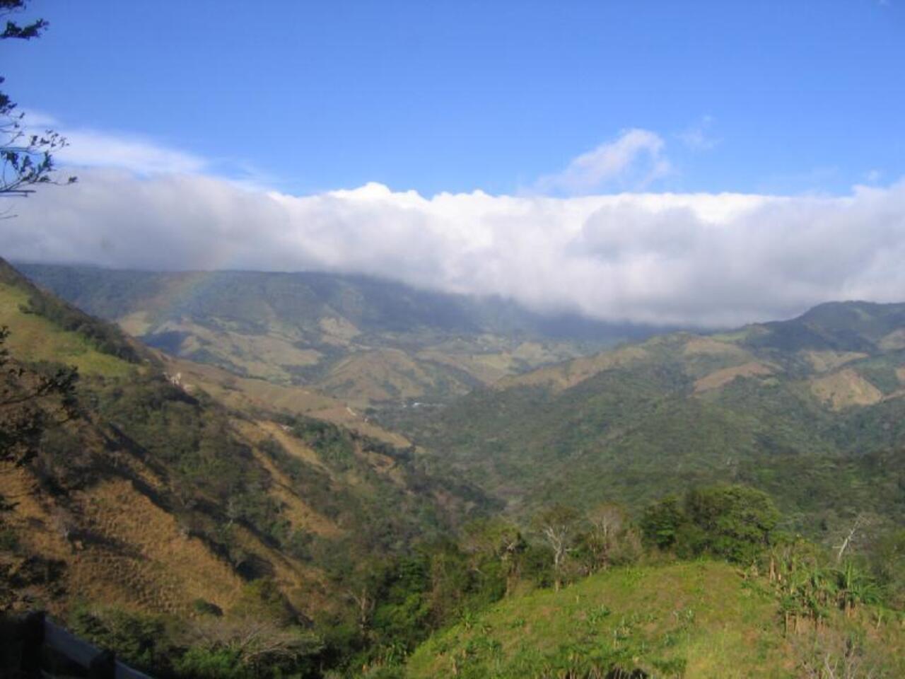 7ª -Reserva Florestal Nublada de Monte Verde – Costa Rica - Numa região alta e montanhosa, está quase sempre encoberta por nuvens. Abriga samambaias gigantes e tem a maior concentração de espécies de orquídeas do mundo (mais de 300 variedades). Entre os animais, destacam-se o jaguar e o puma.