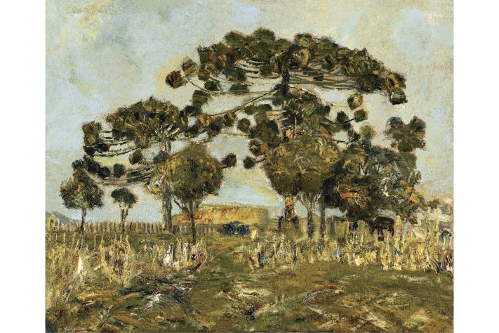 Obra de Miguel Bakun – Divulgação/MON