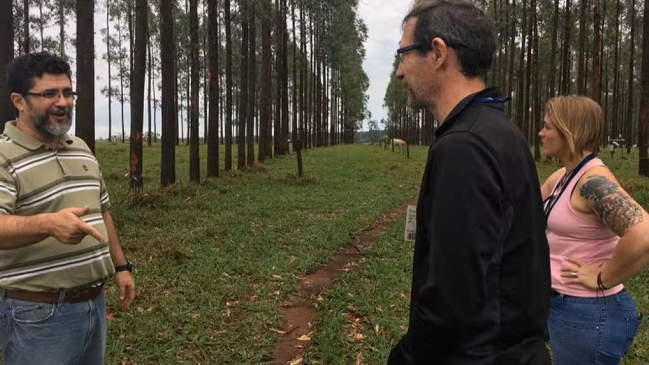 As espécies foram batizadas de Fimoscolex bernardii e Glossoscolex canchim e os nomes escolhidos para as novas espécies homenageiam elementos ligados à história da Fazenda Canchim. Fimoscolex bernardii foi escolhido em reconhecimento ao pesquisador Alberto Bernardi, da Embrapa Pecuária Sudeste. Já Glossoscolex canchim faz referência à árvore Canchim (Pachystroma longifolium), espécie nativa da Mata Atlântica que inspirou o nome da fazenda e da raça bovina Canchim. 
