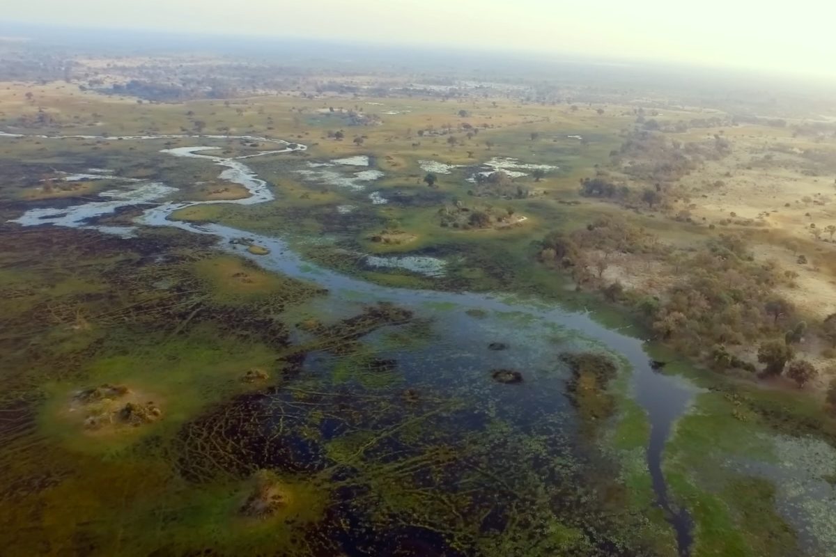 Nos últimos anos, avanços importantes ocorreram na proteção da área. Em 2025, mais de 5,4 milhões de hectares do planalto receberam reconhecimento formal, e a Convenção de Ramsar classificou a região de Lisima Lya Mwono, conhecida como “Fonte da Vida”, como zona úmida de importância internacional.