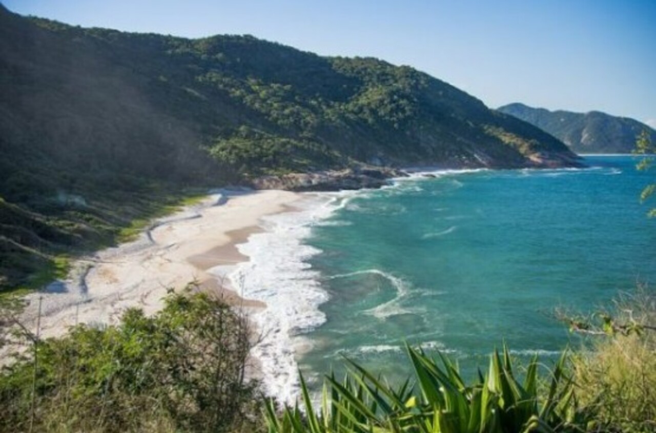 Praia da Daniela (SC): Em Florianópolis, é uma praia de águas mornas e sem ondas, perfeita para crianças pequenas e idosos.