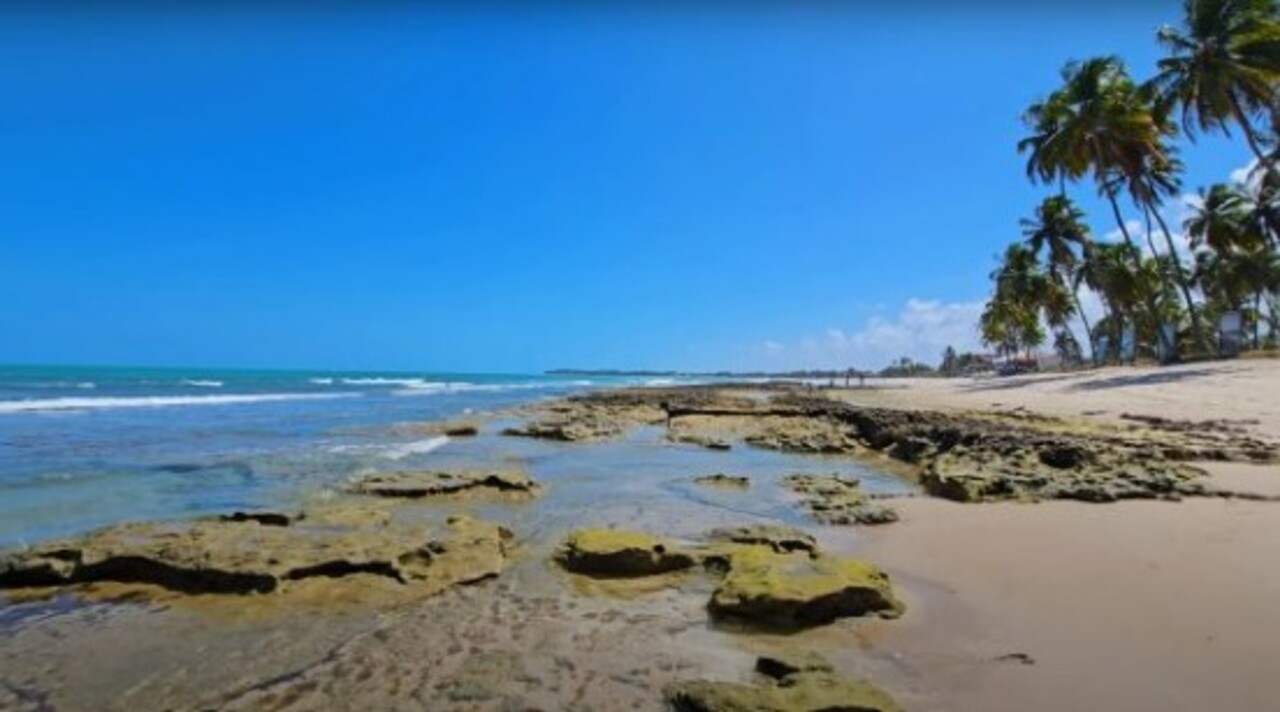 Praia de Carneiros (PE): Com coqueiros e areia branca, essa praia em Tamandaré tem um mar raso e tranquilo, ideal para banho e passeios de barco.