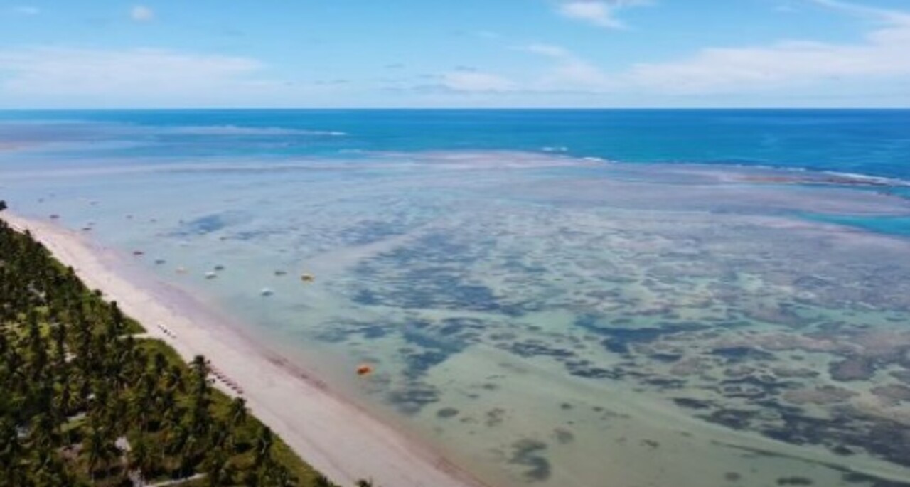 Praia de São Miguel dos Milagres (AL): Com águas cristalinas e calmas, essa praia paradisíaca tem piscinas naturais perfeitas para um mergulho seguro.