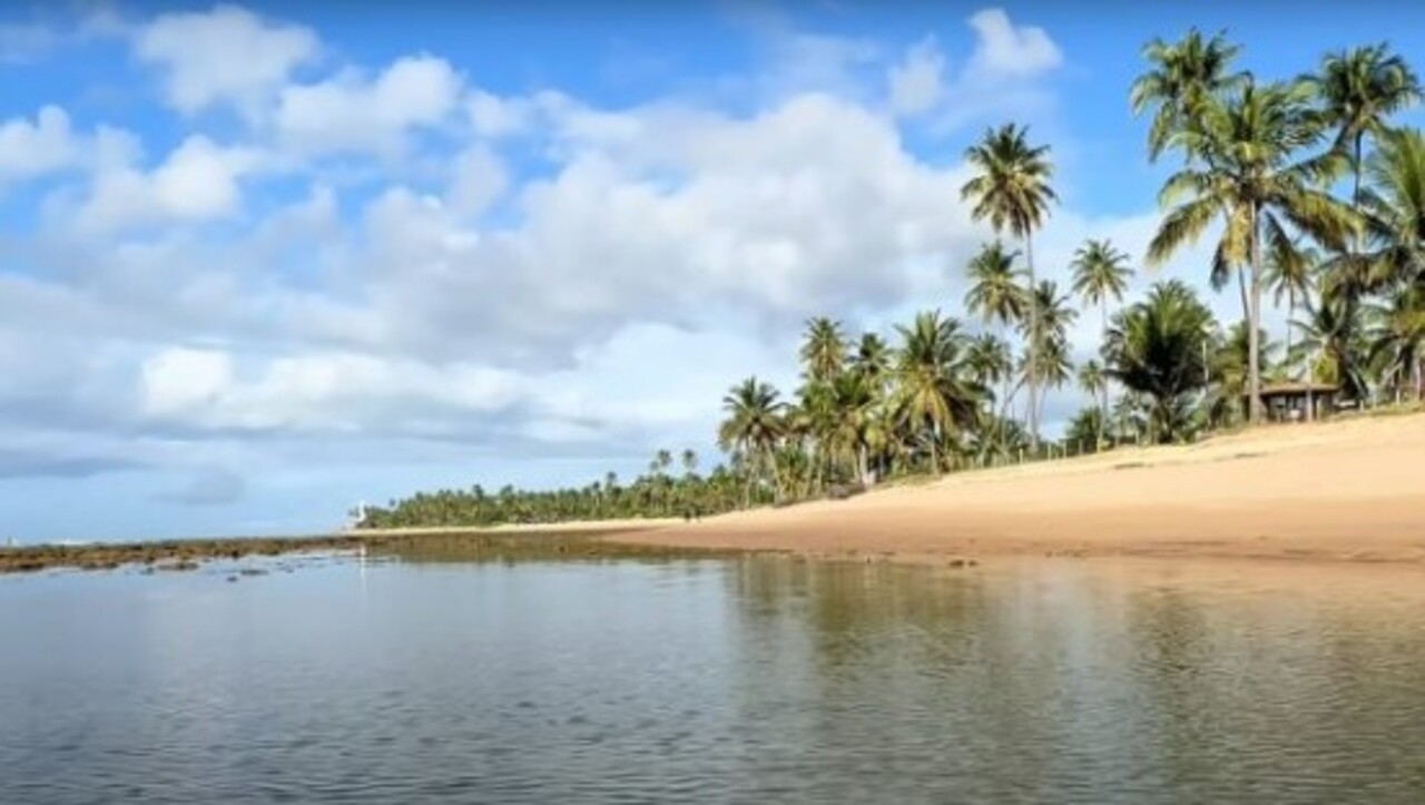 Praia do Forte (BA): Além da beleza natural, oferece mar tranquilo e estrutura excelente para famílias, com recifes que suavizam as ondas.