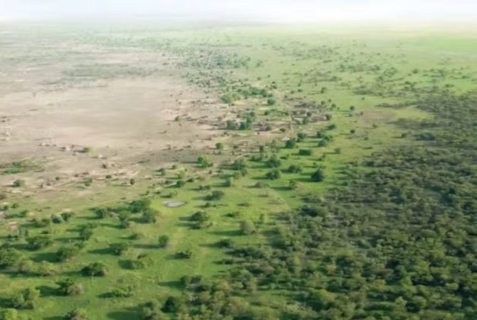 Grande Muralha Verde: conheça o megaprojeto africano que tenta conter o avanço da desertificação do Deserto do Saara