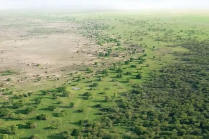 Projeto da Grande Muralha Verde prevê a construção de um corredor florestal com aproximadamente 8 mil quilômetros de extensão para tentar conter avanço da desertificação do Saara - Divulgação/UNCCD