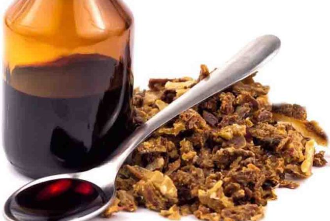 Própolis: por que esse produto ganhou fama como aliado da saúde e da imunidade