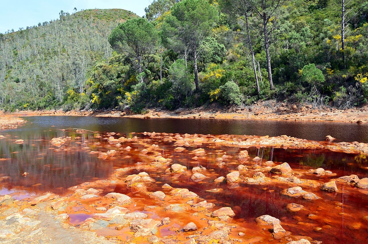 O Rio Tinto reúne processos naturais e impactos de milhares de anos de mineração, formando um ambiente extremo e singular. Suas águas mostram como certos organismos conseguem sobreviver e se adaptar a condições muito adversas. Assim, natureza, história e ciência se encontram em uma paisagem que funciona como um verdadeiro laboratório a céu aberto.