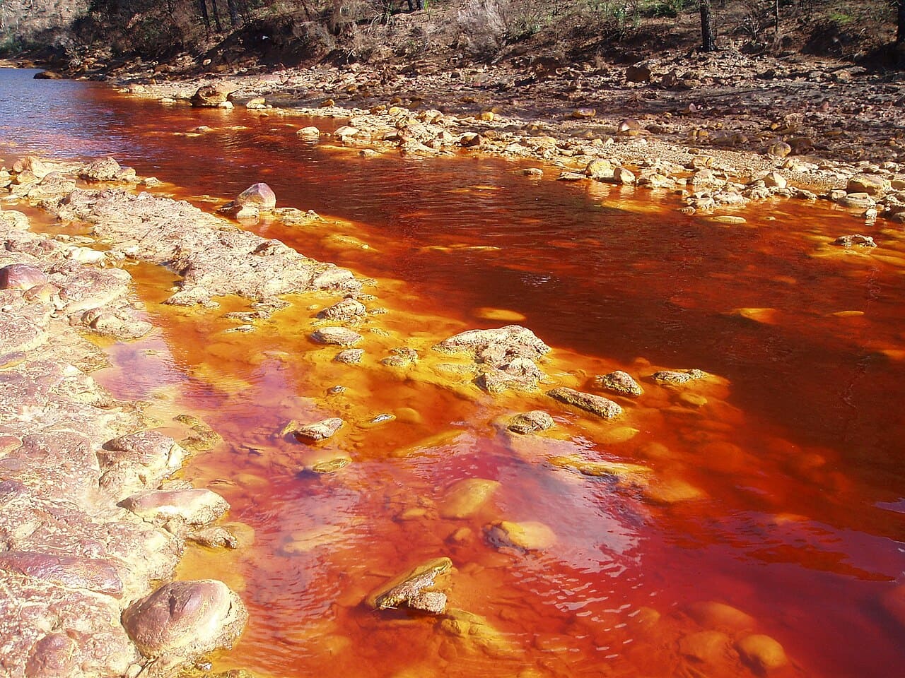 A mineração de cobre, ouro, prata e outros minerais contribuiu para intensificar a acidez e a presença de metais nas águas do Rio Tinto. Mesmo nesse ambiente extremo, vivem microrganismos adaptados à elevada acidez