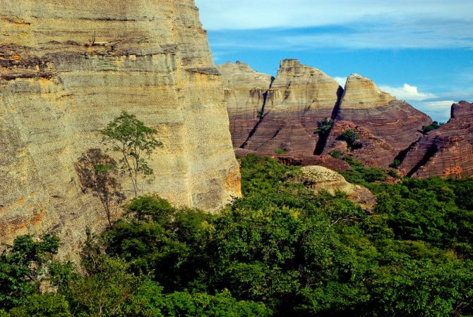 Caatinga: as peculiaridades de um bioma exclusivamente brasileiro