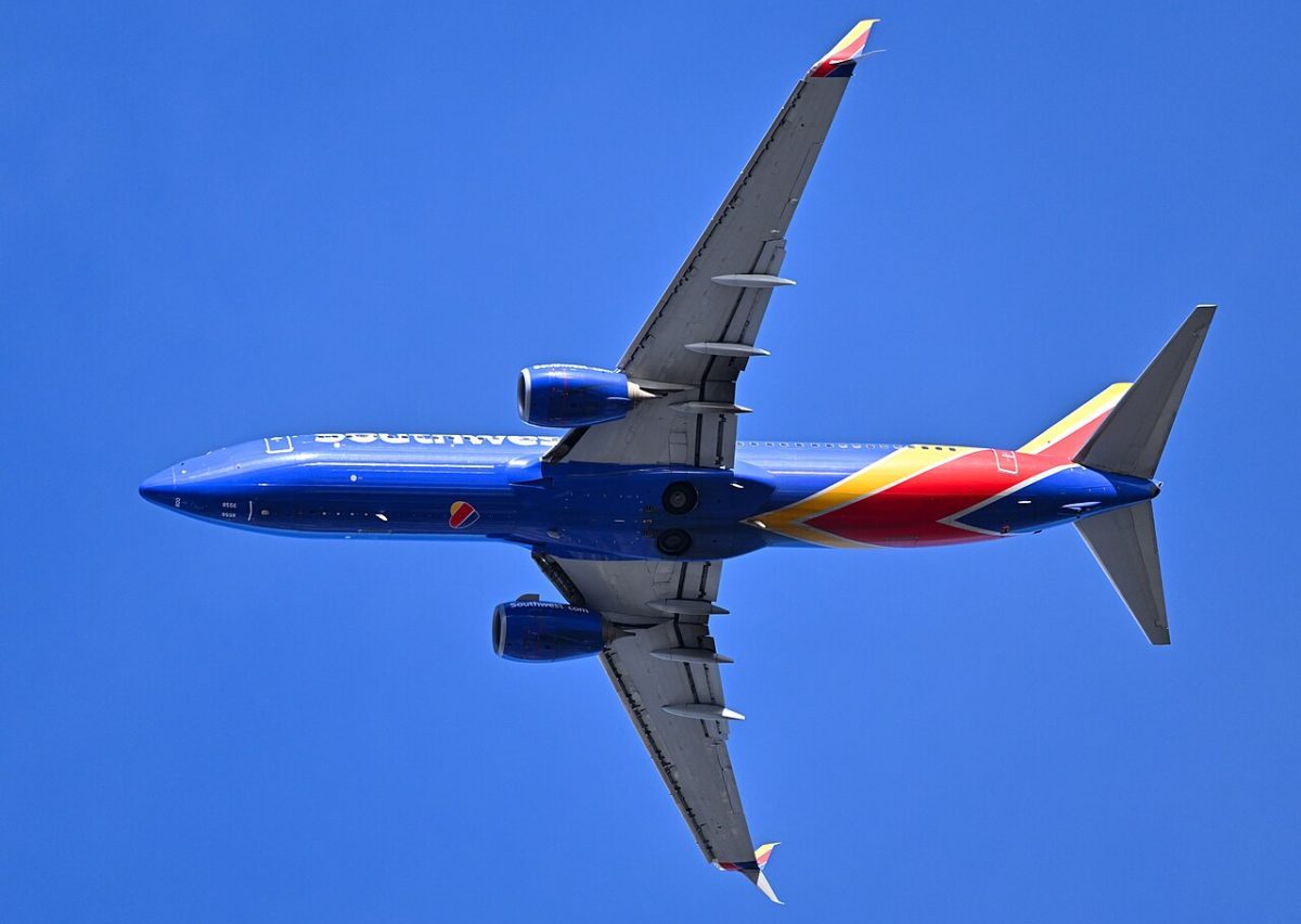 Sua carreira na aviação comercial transcorreu de forma discreta até 17 de abril de 2018, data que a transformaria em referência mundial de profissionalismo e liderança. Naquele dia, ela comandava o voo 1380 da Southwest entre Nova York e Dallas quando uma das pás do ventilador de um motor se rompeu em pleno voo.