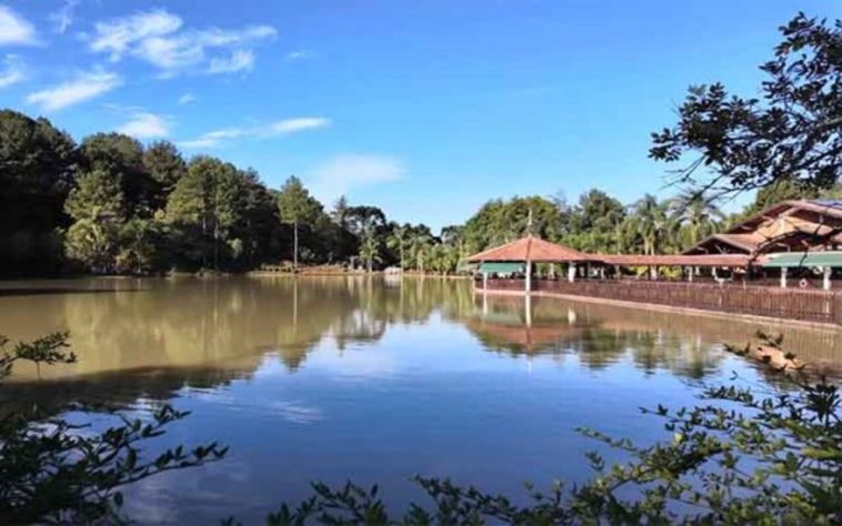 Treze Tílias, a cidade 'mais austríaca do Brasil'