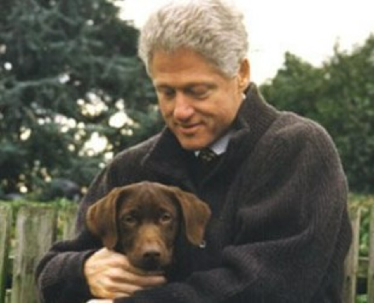 Bill Clinton - Político, ex-presidente dos Estados Unidos, passou a abrir mão de carnes, ovos e laticínios por causa de problemas cardíacos. Ele chegou a fazer cirurgias. Sentiu-se melhor como vegano e disse que, assim, espera viver mais tempo. 