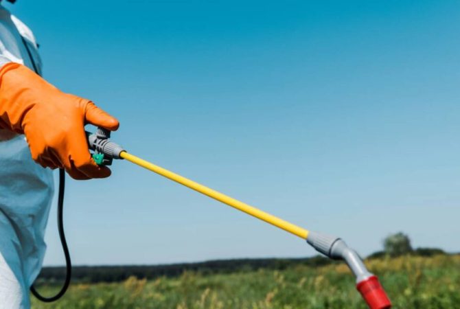 Herbicida mais usado do mundo pode estar ajudando superbactérias resistentes a antibióticos, aponta estudo