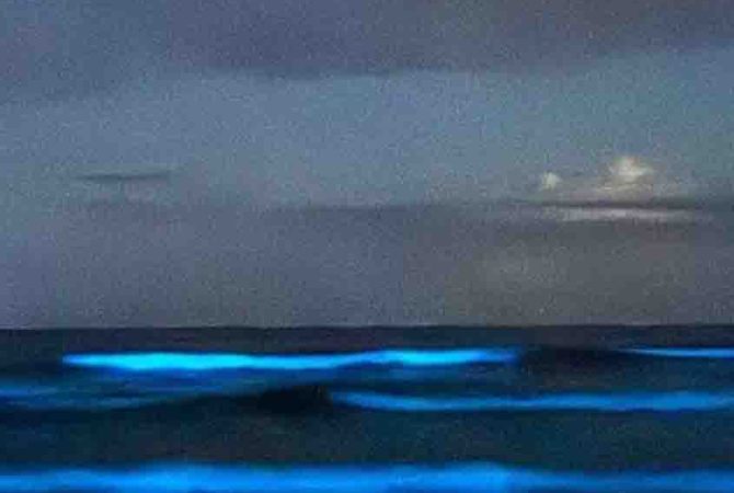 Bioluminescência: lugares pelo mundo com esse brilho espetacular e por que isso acontece