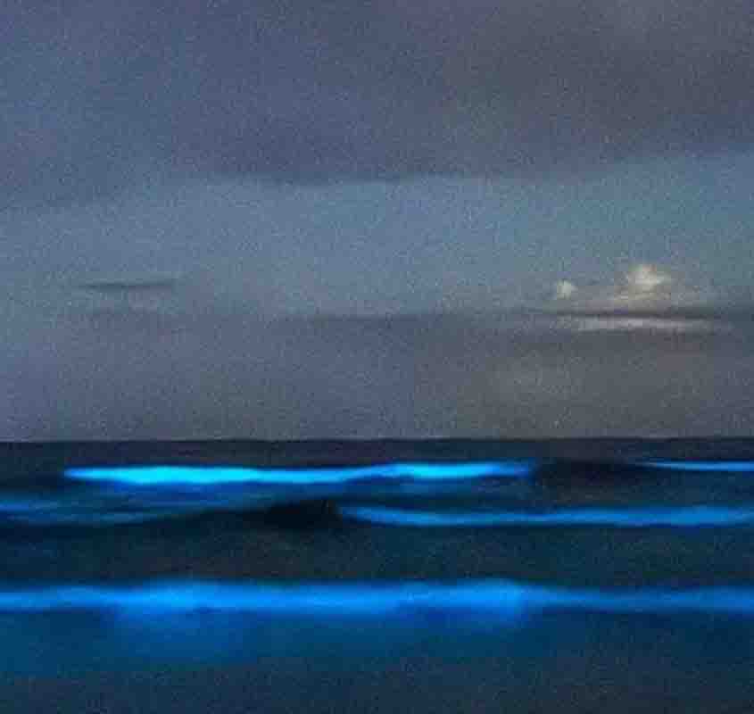Bioluminescência em praia de Ubatuba - Reprodução Instagram @vidacaicara.uba