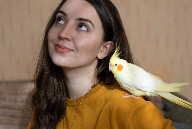 Ter uma ave em casa requer atenção: veja o que diz a lei e como proporcionar qualidade de vida ao animal