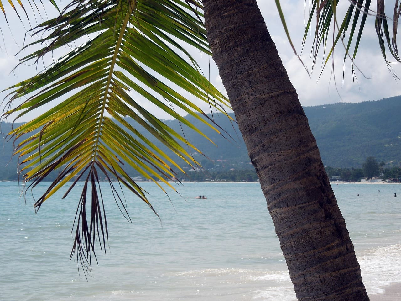 A Tailândia é um dos destinos mais desejados do Sudeste Asiático, famosa por suas praias paradisíacas, águas cristalinas e cenários tropicais que parecem saídos de um sonho. Cada faixa de areia revela uma atmosfera própria: algumas oferecem tranquilidade absoluta, outras vibram com festas e esportes aquáticos, e há ainda aquelas que encantam pela natureza intocada. Essa diversidade transforma cada praia em uma experiência singular, capaz de agradar tanto quem busca descanso quanto quem procura a -  (crédito: Imagem de Ralf Gölzenleuchter por Pixabay)