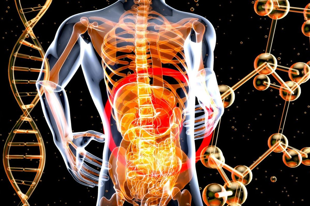 O câncer de estômago é uma doença que se desenvolve a partir do crescimento descontrolado de células na parede do órgão. O tipo mais comum é o adenocarcinoma gástrico, responsável pela grande maioria dos casos diagnosticados. Esse tumor tem origem nas células glandulares que revestem internamente o estômago e pode se espalhar para outros tecidos e órgãos se não for tratado.