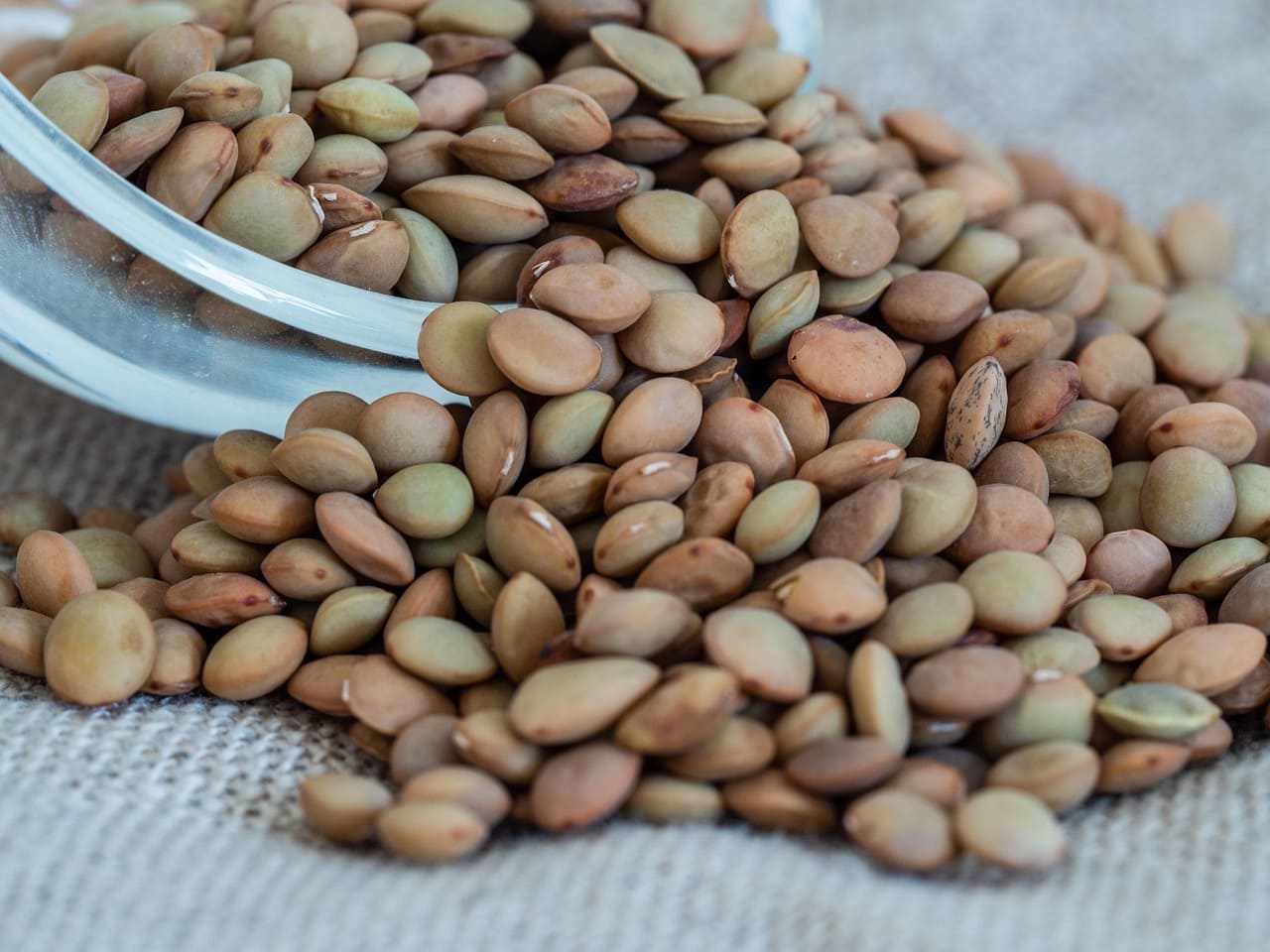 Grande parte da lentilha consumida pelos brasileiros vem de países como Argentina e Canadá. O grão-de-bico também depende parcialmente de fornecedores externos, embora a produção nacional venha crescendo nos últimos anos.