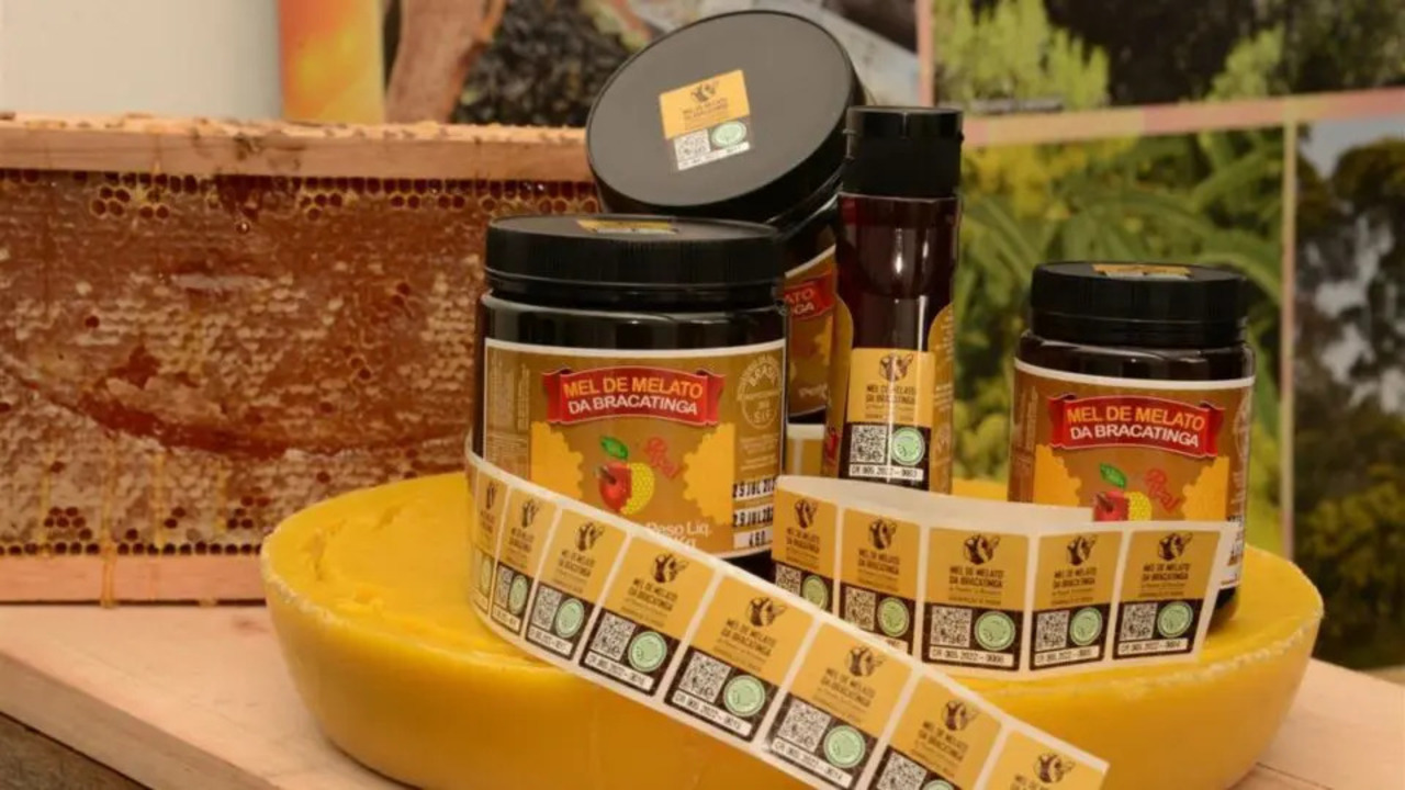O melato da bracatinga ganhou destaque internacional após pesquisas identificarem sua composição diferenciada, rica em sais minerais e aminoácidos, além da baixa tendência à cristalização. Hoje, é considerado um produto de alto valor agregado. -  (crédito:  Rodrigo Rocha/Divulgação/Foto Argus)