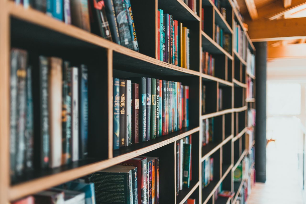 A obra descreve uma sociedade em que uma autoridade decide quais livros podem continuar existindo, uma premissa que muitos leitores relacionam aos debates atuais. Fenômenos semelhantes também foram observados em outros países como na Argentina, o que reforça a dimensão internacional da discussão.