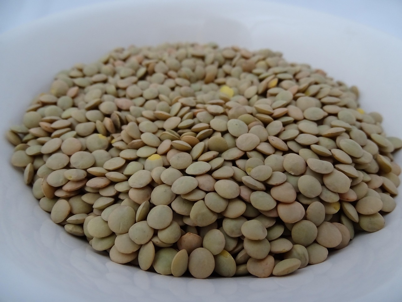 Assim como outras leguminosas, a lentilha oferece quantidades expressivas de proteínas. Ela é frequentemente utilizada em refeições que combinam sabor, valor nutricional e boa capacidade de saciedade.