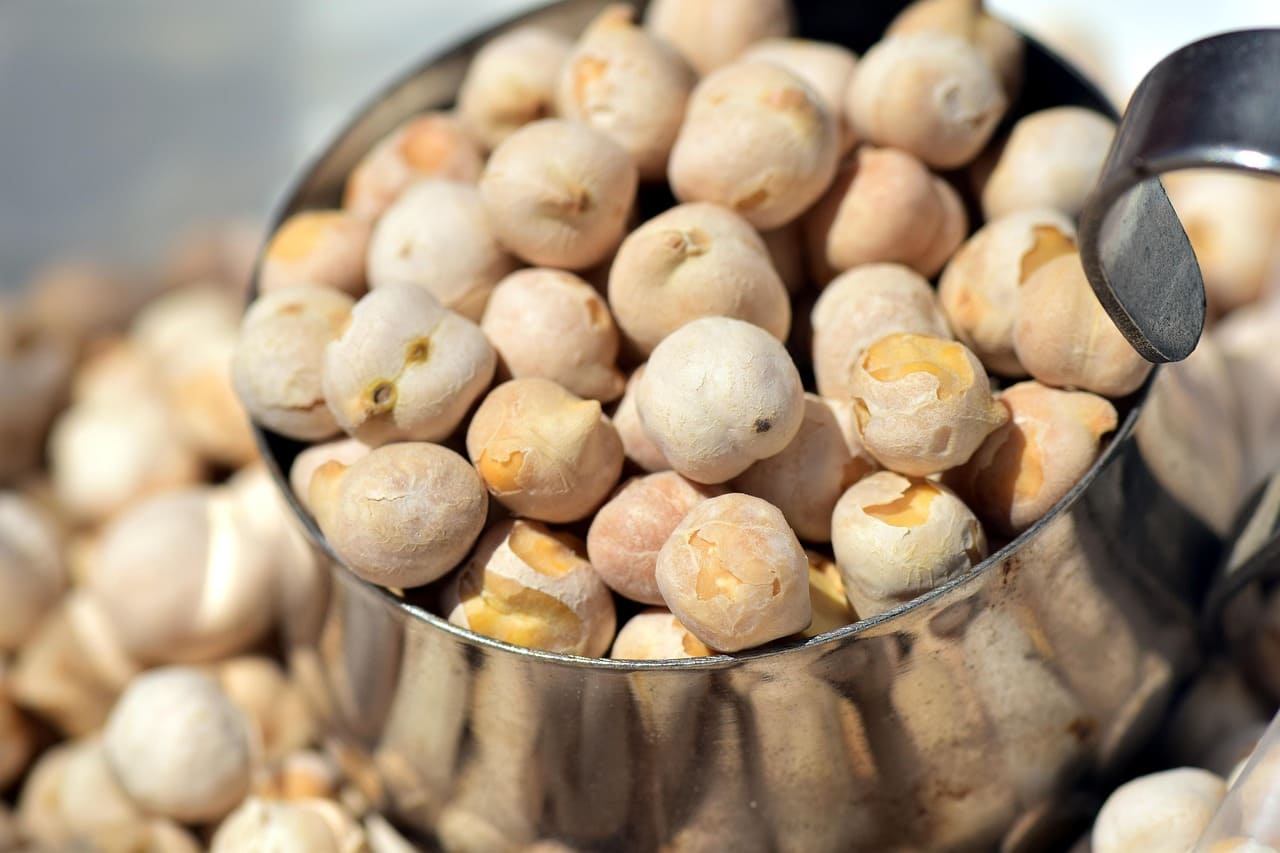 Produtores de diferentes regiões têm investido no cultivo do grão-de-bico como alternativa de diversificação agrícola. A cultura vem apresentando bons resultados em áreas do Cerrado e em outras regiões de clima favorável.