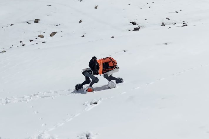 China apresenta cão-robô capaz de operar em condições extremas e áreas de risco – Reprodução/YouTube DEEP Robotics