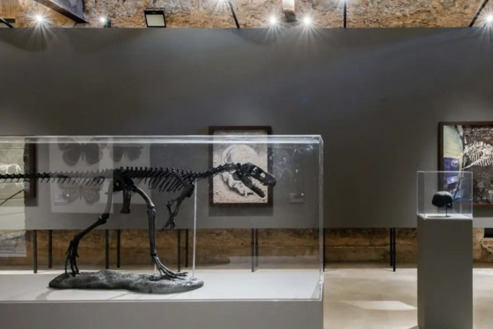 Cinzas do incêndio no Museu Nacional viram obras de Vik Muniz, que são exibidas em sala onde fogo começou – Divulgação/Felipe Cohen