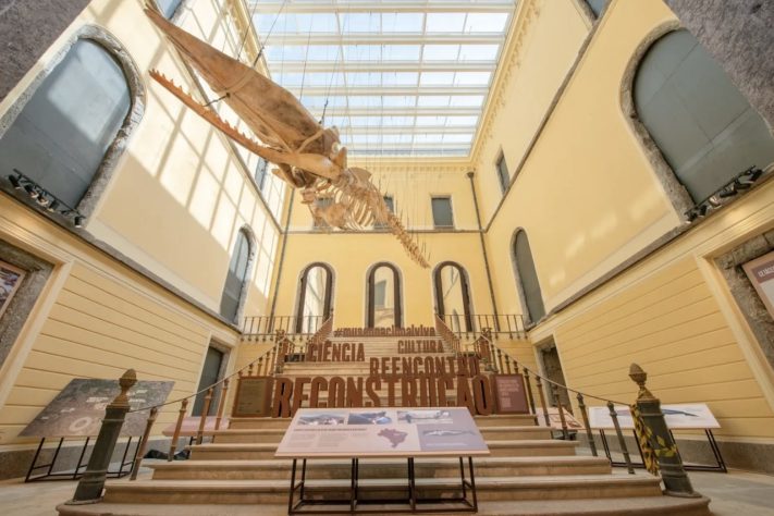 Museu Nacional – Divulgação
