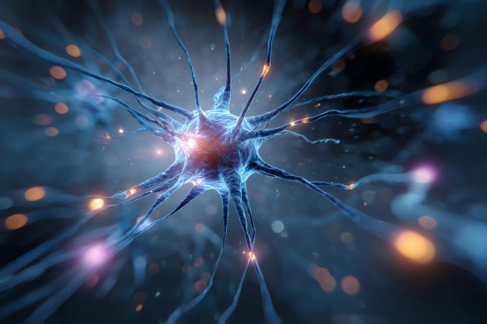 Neurônios, cérebro – Magnific/vwalakte