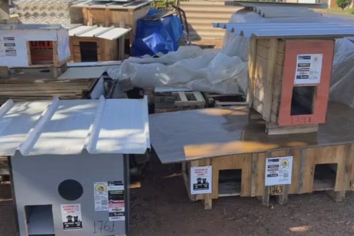 Caminhoneiro constrói casinhas para pets abandonados em Rio Preto (SP) — Reprodução/TV TEM