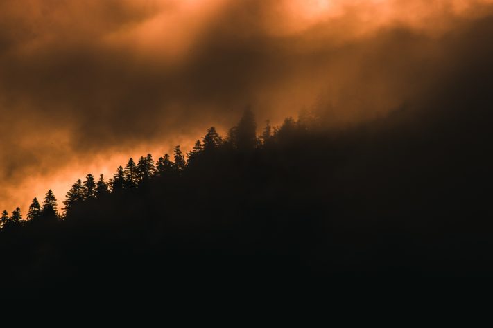 Queimada, floresta, incêndio – Magnific/wirestock