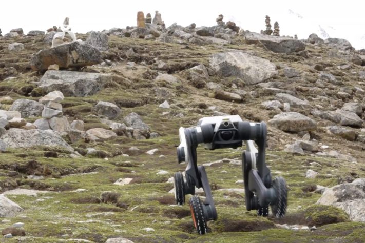 China apresenta cão-robô capaz de operar em condições extremas e áreas de risco – Reprodução/YouTube DEEP Robotics