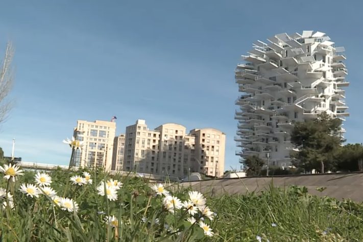 Prédio que simula uma árvore branca tem varandas que avançam até 7,5 metros em Montpellier, no sul da França – Reprodução/YouTube France 3 Occitanie