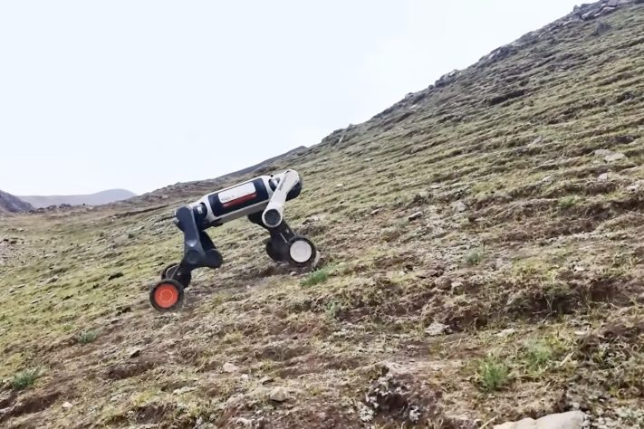 China apresenta cão-robô capaz de operar em condições extremas e áreas de risco – Reprodução/YouTube DEEP Robotics