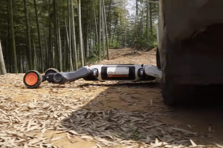 China apresenta cão-robô capaz de operar em condições extremas e áreas de risco – Reprodução/YouTube DEEP Robotics