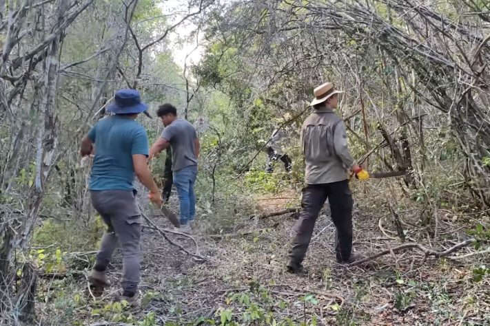Arqueólogos encontram antiga metrópole maia escondida no meio da selva mexicana – Reprodução/INAH TV