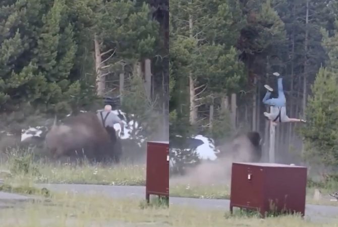 Bisão de quase uma tonelada arremessa idoso no ar em parque nacional dos Estados Unidos; imagens impressionam
