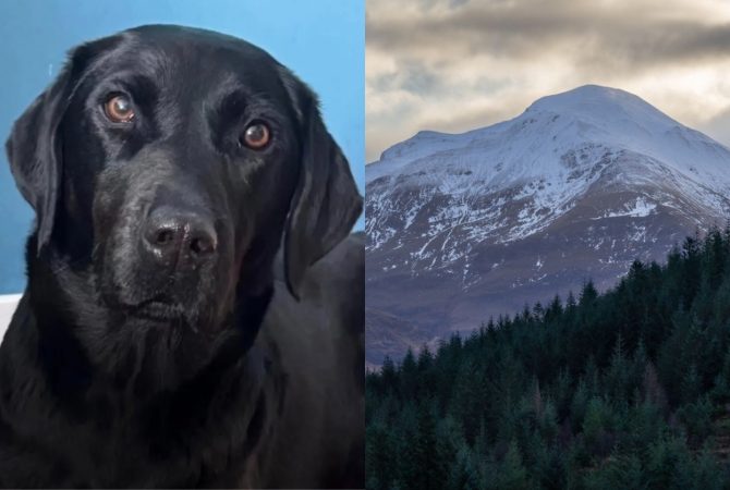 Intoxicação por cannabis exige resgate de labradora na montanha mais alta do Reino Unido