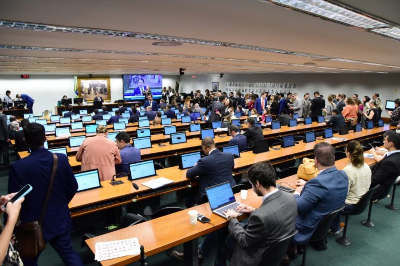 Grande parte do trabalho legislativo acontece nas comissões temáticas, grupos especializados que analisam propostas antes de elas chegarem ao Plenário da Cãmara dos Deputados.  Entre as mais importantes está a Comissão de Constituição e Justiça e de Cidadania (CCJ),  responsável por avaliar a constitucionalidade, legalidade e juridicidade dos projetos de lei que tramitam no legislativo.
