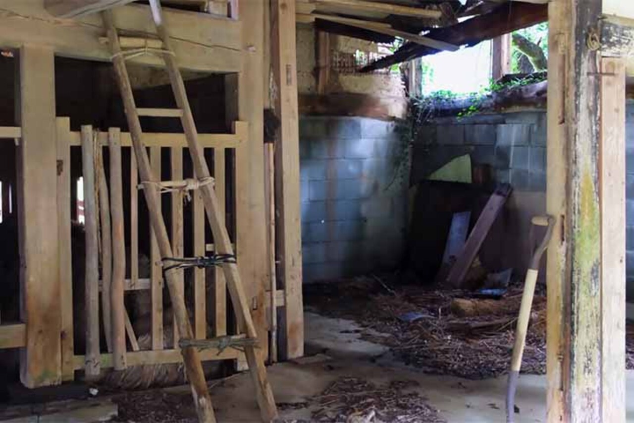 Essas casas vazias são conhecidas como 