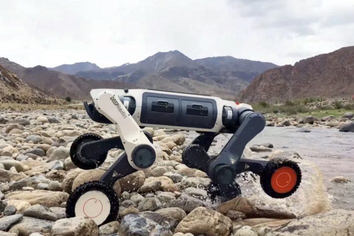 China apresenta cão-robô capaz de operar em condições extremas e áreas de risco – Reprodução/YouTube DEEP Robotics